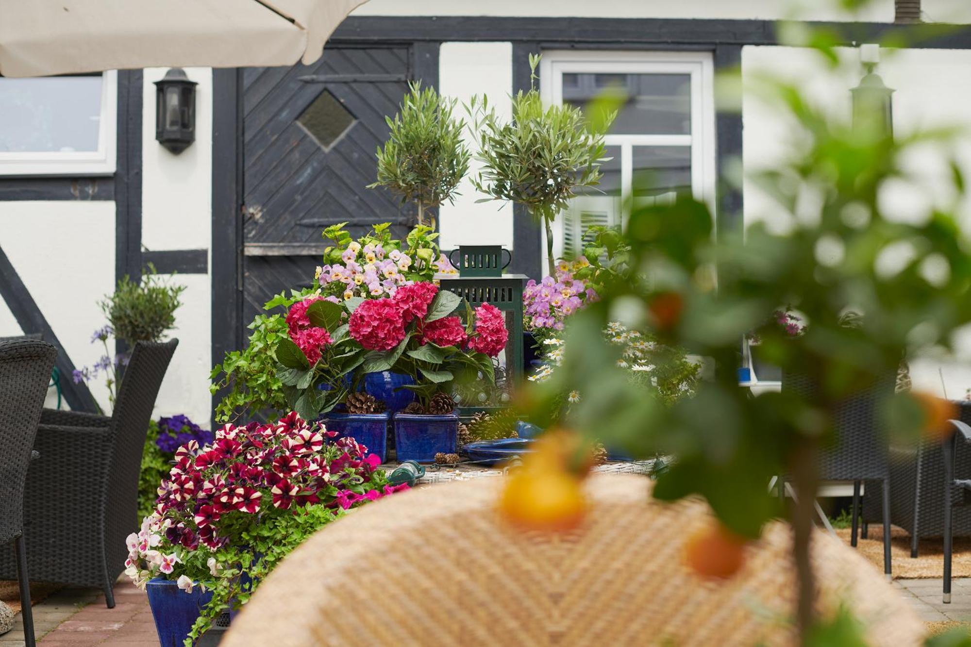 Hotell Baeckagarden Ystad Exterior foto